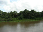 River Amazon